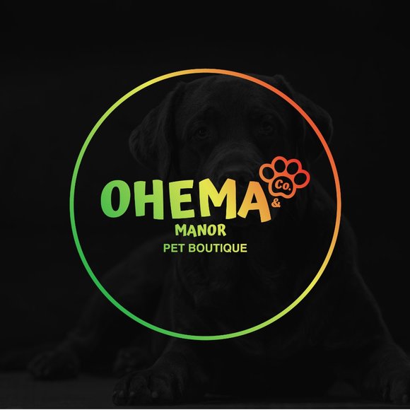 Onyx (African Print) Dog Collars - Picture 5 of 5